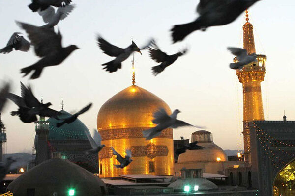 حال و هوای حرم امام رضا در ولادت امیرالمومنین