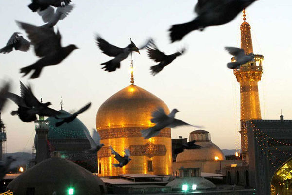 حال و هوای حرم امام رضا در ولادت امیرالمومنین