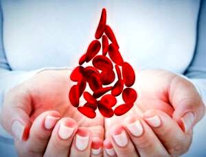 پویش اهدای خون به یاد علی انصاریان و مهرداد میناوند