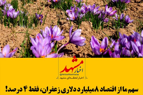 فیلم| سهم ما از اقتصاد ۸ میلیاردی زعفران، فقط ۴ درصد