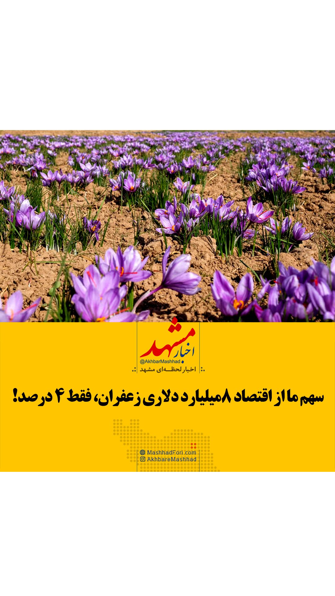 فیلم| سهم ما از اقتصاد ۸ میلیاردی زعفران، فقط ۴ درصد
