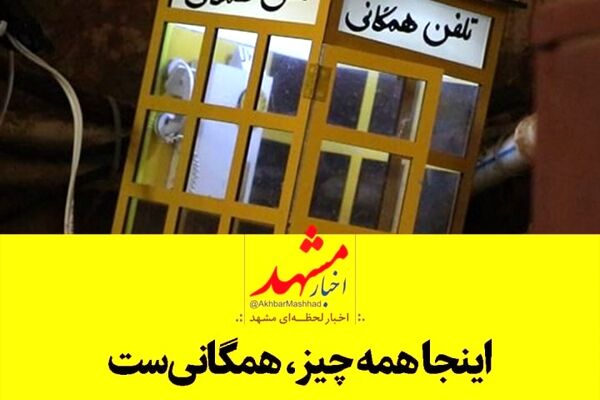 فیلم| اینجا همه‌چیز همگانی است