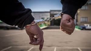 یک زن و 3 مرد جوان سارق در چنگ قانون