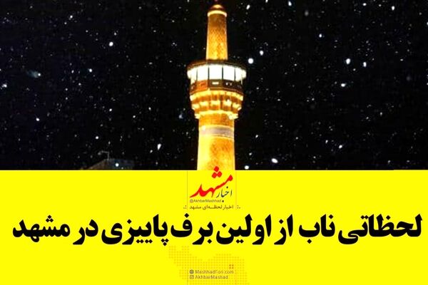 فیلم| لحظاتی ناب از بارش اولین برف پاییزی سال ۹۹ در حرم امام رضا(ع)