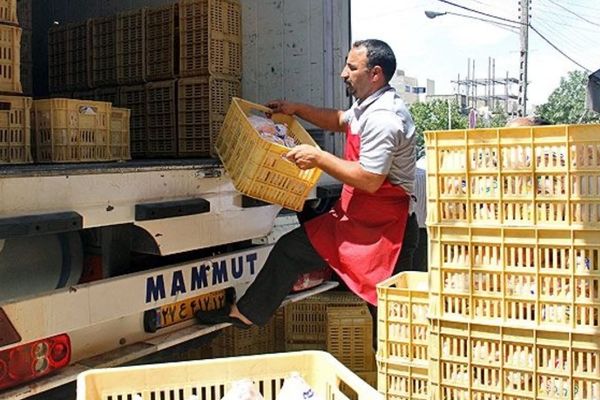 افزایش قیمت مرغ موقتی است