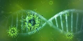 برگزاری هر نوع کلاس حضوری آموزشی ممنوع است