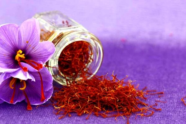 حدود 5 تن خرید حمایتی زعفران در خراسان رضوی