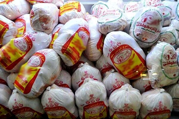 آغاز توزیع مرغ تنظیم بازار در خراسان رضوی