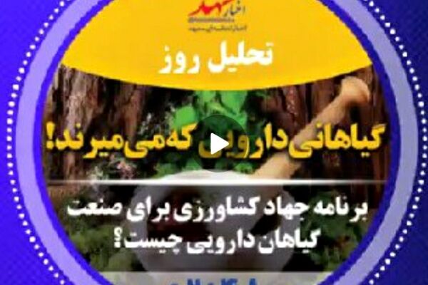 صوت| گیاهانی دارویی که می‌میرند!