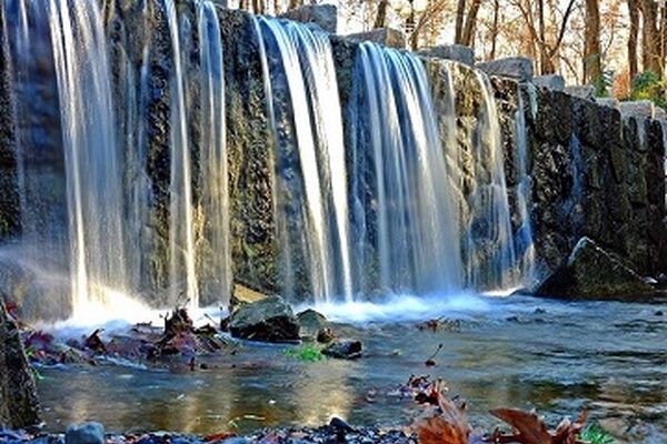 پارک جنگلی وکیل آباد مشهد، یک جای دنج!