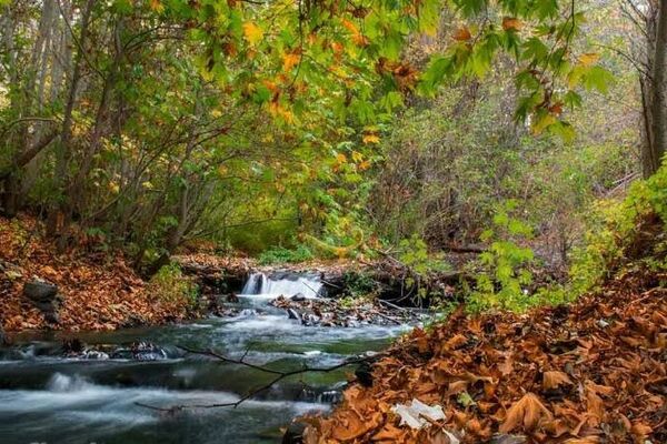 روستای جاغرق؛ تاریخی بازگشته از دل آب