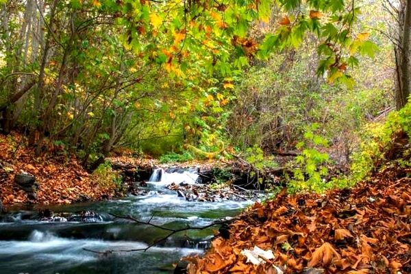 روستای جاغرق؛ تاریخی بازگشته از دل آب