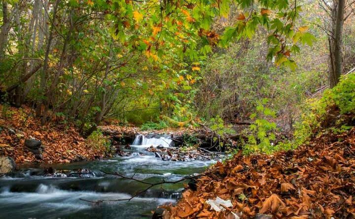 روستای جاغرق؛ تاریخی بازگشته از دل آب