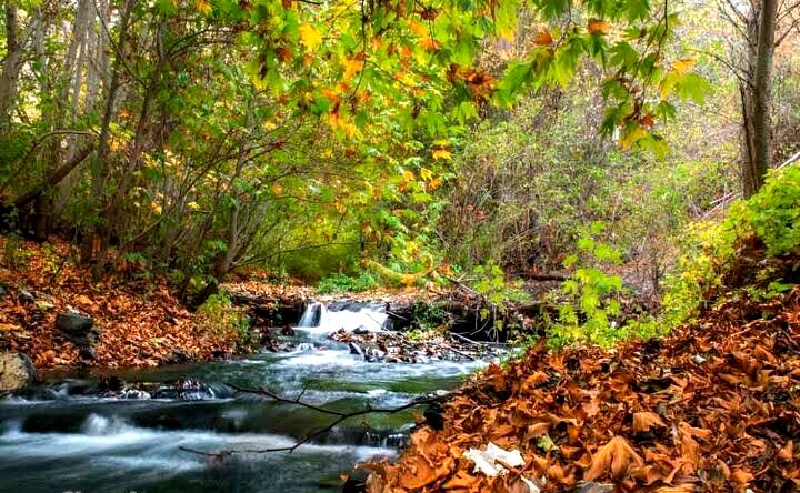 روستای جاغرق؛ تاریخی بازگشته از دل آب