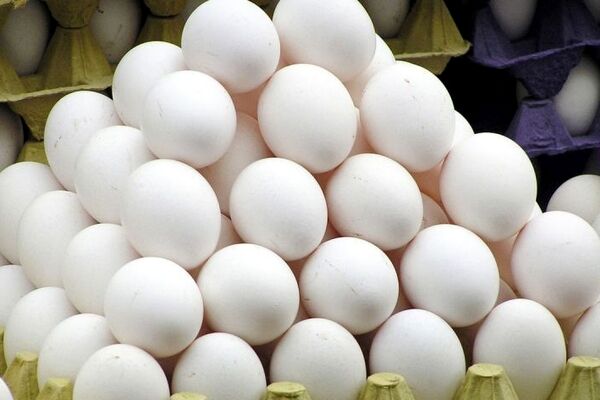 تولیدکنندگان تخم مرغ برای فروش و تنظیم بازار اقدام نکردند