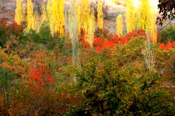روستای زشک مشهد؛ طبیعتی ناب