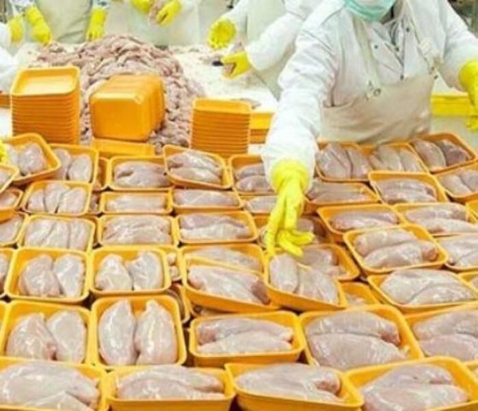 مرغ نه صادر می‌شود نه قاچاق/خروج مرغ از استان ممنوعیتی ندارد