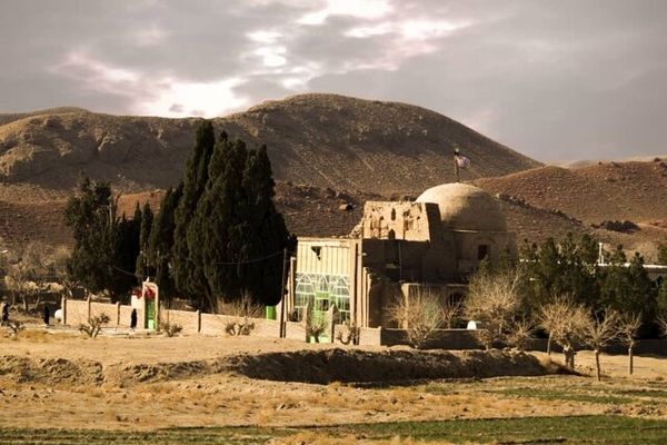 پنج سرو کهنسال شهرستان رشتخوار در فهرست میراث طبیعی ایران ثبت شد