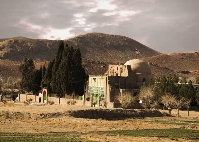 پنج سرو کهنسال شهرستان رشتخوار در فهرست میراث طبیعی ایران ثبت شد