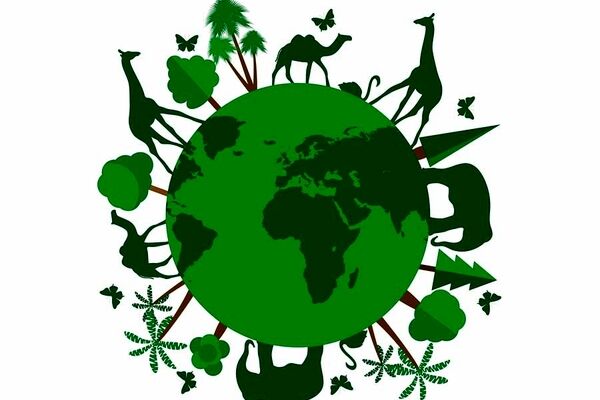 نابودی حیات وحش یکی از فجایع تأثیرگذار است / 3 مارس روز جهانی حیات وحش