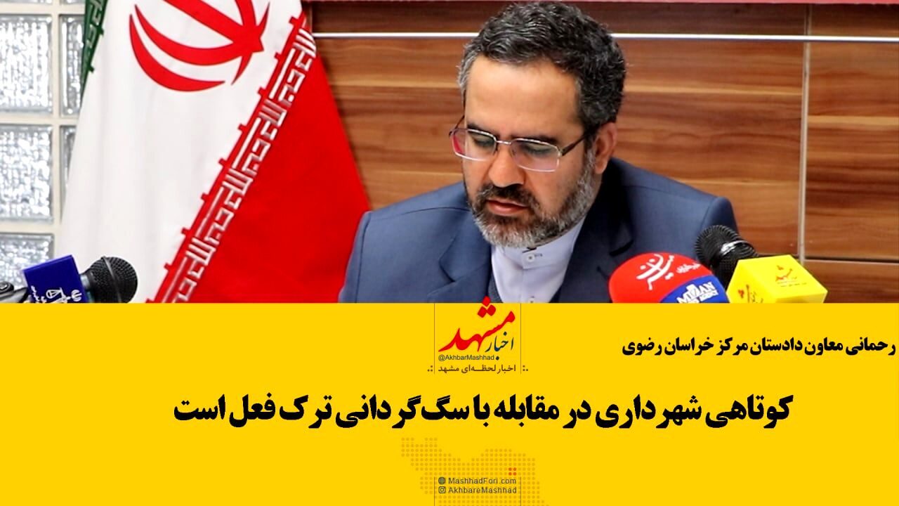 مردم کوتاهی شهرداری در مقابله با سگ‌گردانی را گزارش دهند