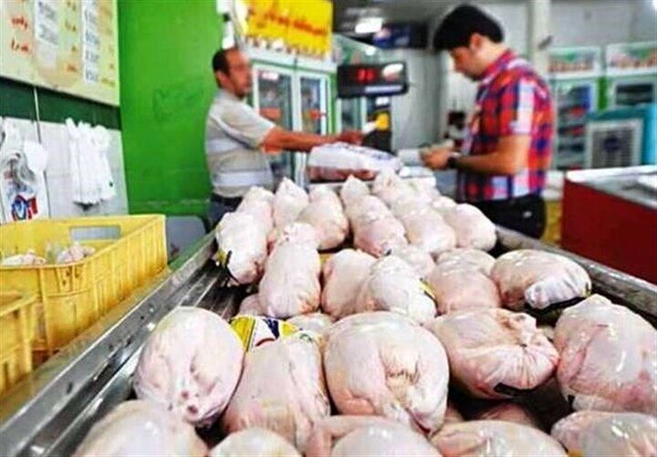 عرضه ۶ تن مرغ گرم از طریق روستا بازار مشهد