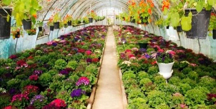مشهد میزبان بزرگ‌ترین مجتمع گلخانه‌های آموزشی کشور