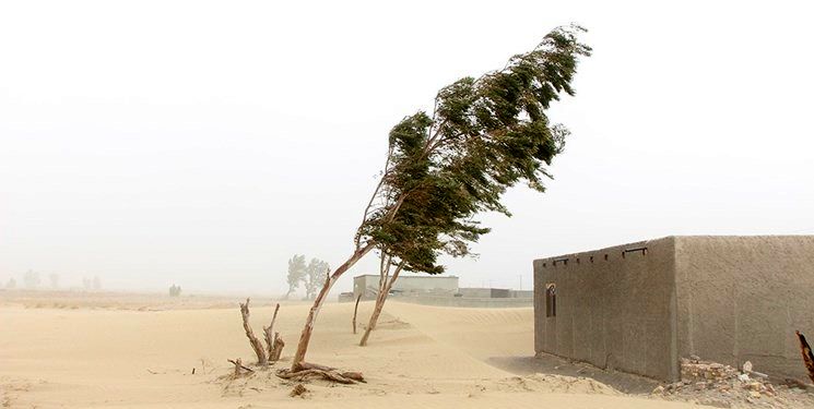 طوفان با سرعت ۱۲۶ کیلومتر بر ساعت گناباد را درنوردید