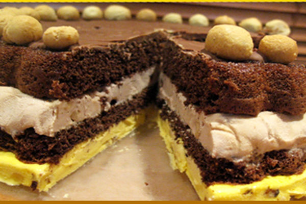 آشنایی با روش تهیه کیک بستنی کاکائویی با شکلات