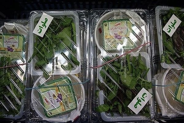 اجرای طرح افطاری ساده برای زائران امام رضا (ع)