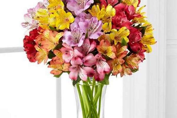 به هر کس چه رنگ گلی هدیه بدهیم؟