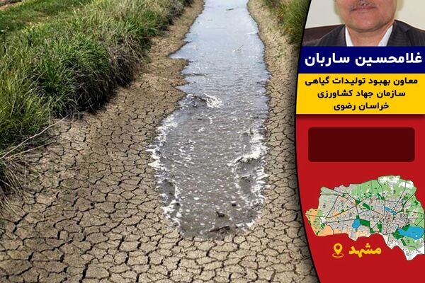 سرمازدگی قیمت زردآلو، آلو و بادام را افزایش می‌دهد/خراسان رضوی رتبه پنجم کشور در خشکسالی