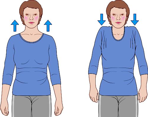فرم شانه‌ها چه شخصیتی را نشان می‌دهد؟