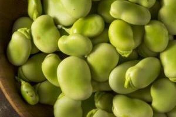 باقالی را چطوری فریز و خشک کنیم؟