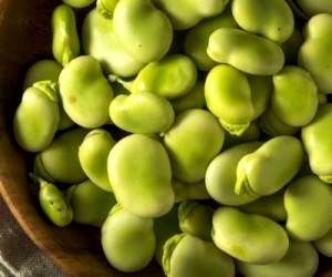 باقالی را چطوری فریز و خشک کنیم؟
