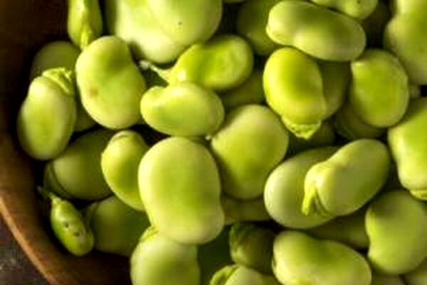 باقالی را چطوری فریز و خشک کنیم؟