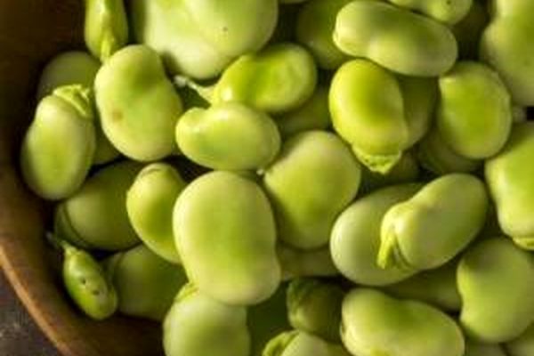 باقالی را چطوری فریز و خشک کنیم؟