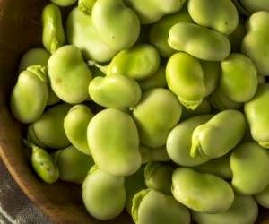 باقالی را چطوری فریز و خشک کنیم؟