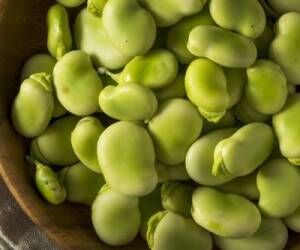 باقالی را چطوری فریز و خشک کنیم؟