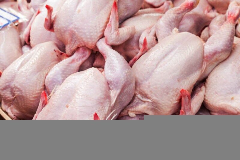 کشف و ضبط 40 تن گوشت مرغ غیرمجاز در مشهد