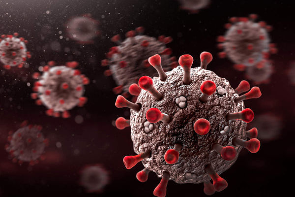 شهرهای قرمز خراسان رضوی کدامند؟