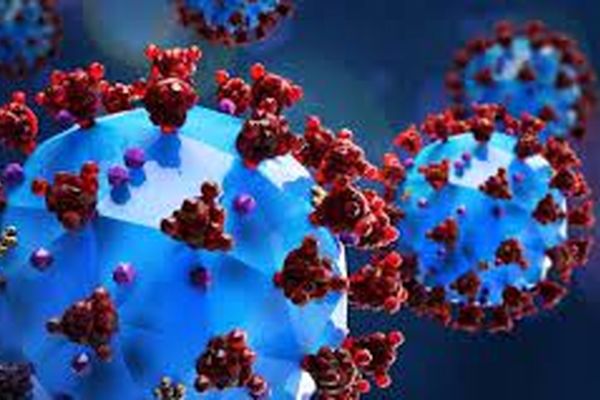 قارچ سیاه؛ نحوه ابتلا و ارتباطش با کرونا + فیلم