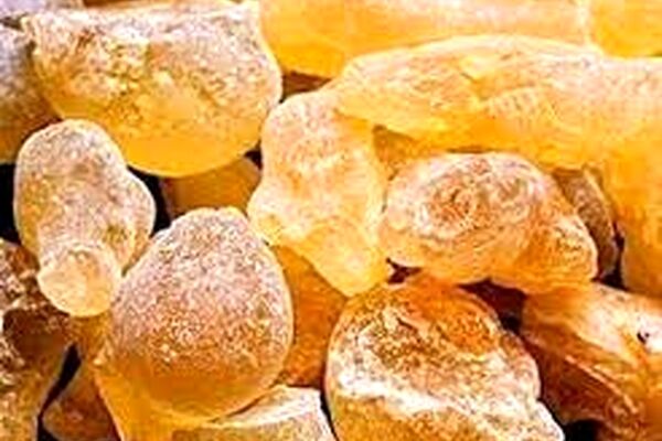 دستور اصلی دمنوش کندر برای بیماران کرونایی