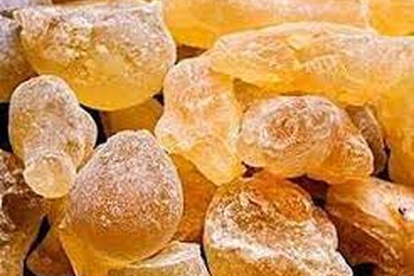 دستور اصلی دمنوش کندر برای بیماران کرونایی