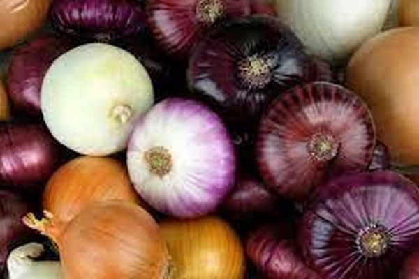 بهترین روش و اصول نگهداری پیاز برای مدت بیشتر