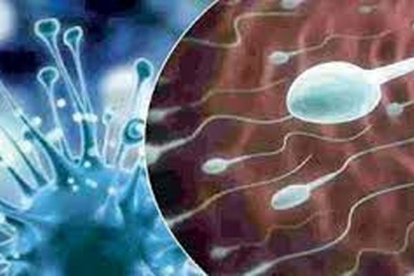 تاثیر عفونت کووید 19 بر قدرت باروری زنان
