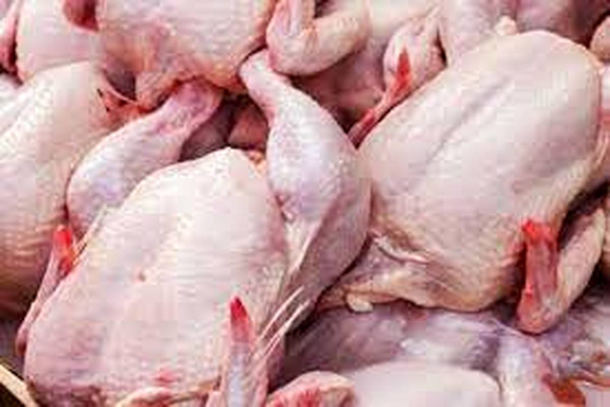 تامین گوشت مرغ در ماههای آینده دچار مشکل میشود