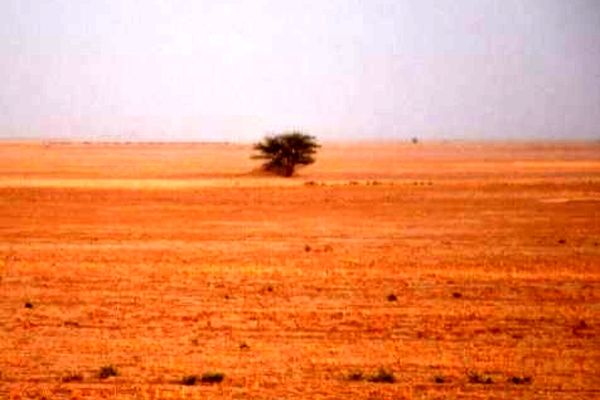 هوای خراسان رضوی سالانه میزبان ۲۱۹ هزار تن خاک است