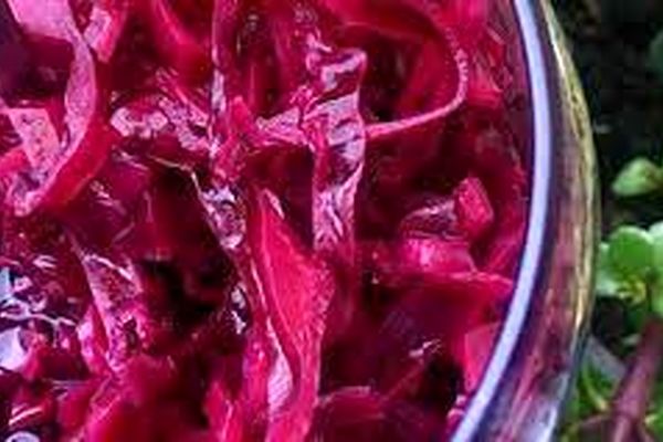 طرز تهیه ترشی کلم قرمز/راز و رمز خوشمزگی ترشی کلم قرمز به روش رستوران‌ها