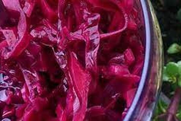 طرز تهیه ترشی کلم قرمز/راز و رمز خوشمزگی ترشی کلم قرمز به روش رستوران‌ها